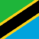 Tanzania flag